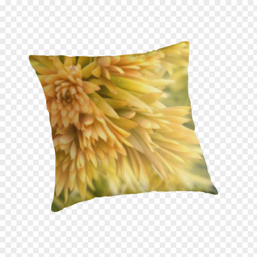 Pillow Cushion Throw Pillows PNG