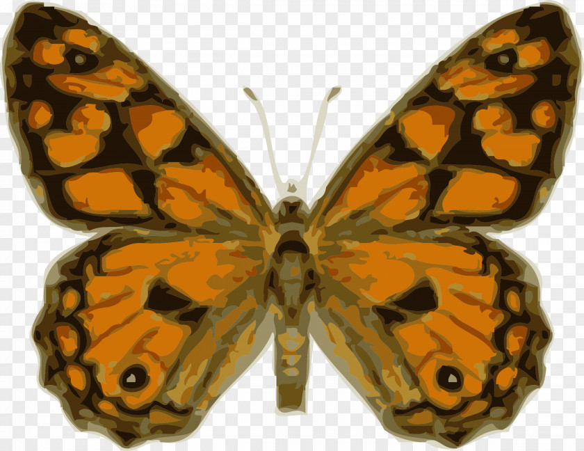 Bugs Monarch Butterfly Insect Royalty-free Clip Art PNG