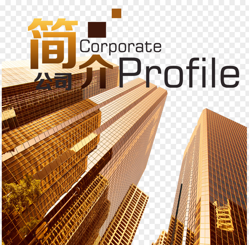 Company Profile Real Property Estate Business Poster Atmosphere PNG