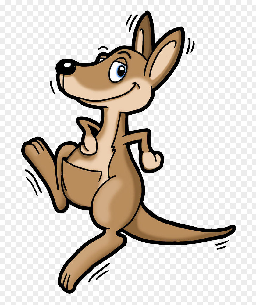 Hung Clipart Drawing Kangaroo Cartoon Clip Art PNG