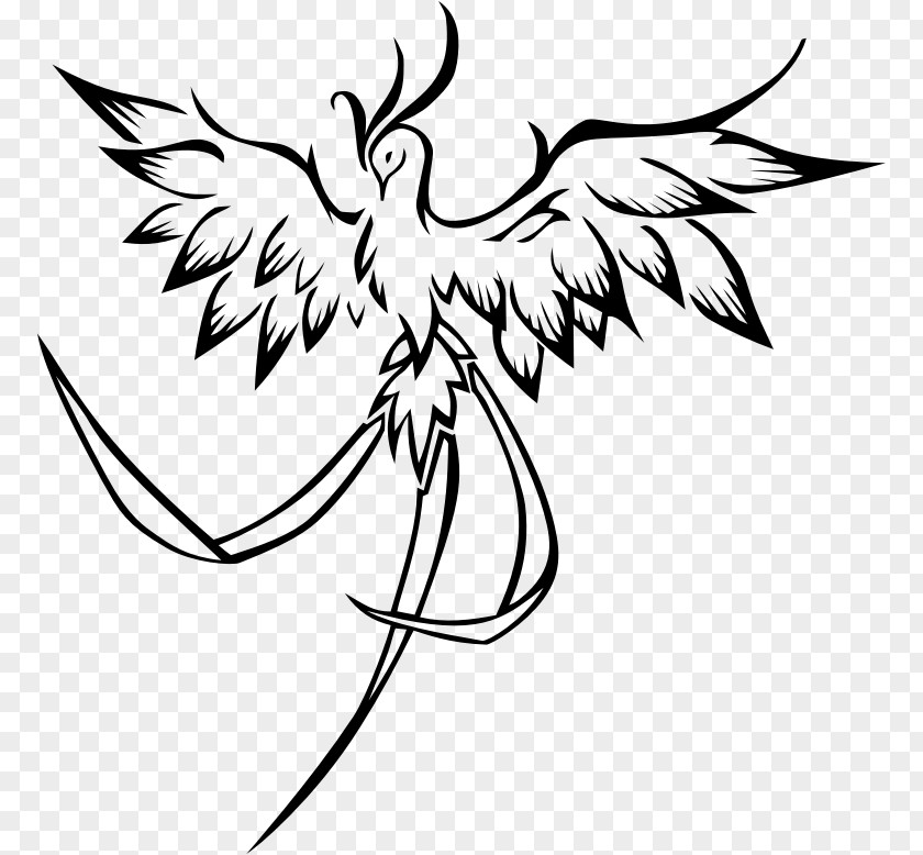 Phoenix Firebird Line Art Clip PNG