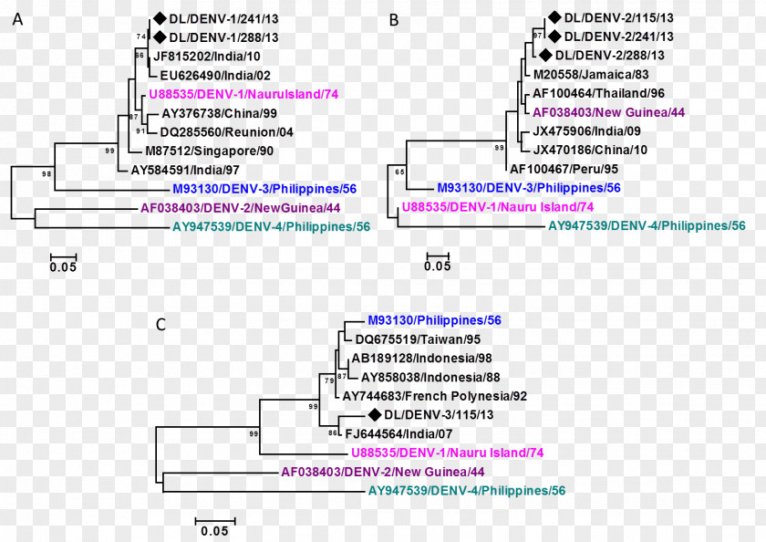 Serotype Strain Phylogenetics Dengue Virus Virology Mutation PNG
