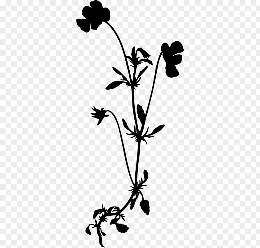 Silhouette Wildflower Drawing Clip Art PNG