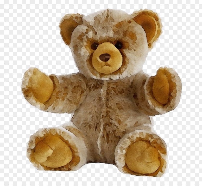 Animal Figure Bear Teddy PNG