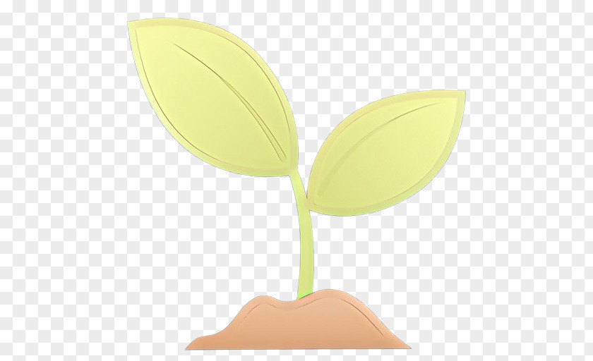 Anthurium Petal Green Leaf Background PNG