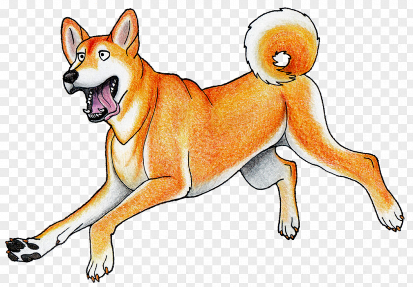 Emperors New Groove Dog Breed Shiba Inu Shikoku Dingo Guinea Singing PNG