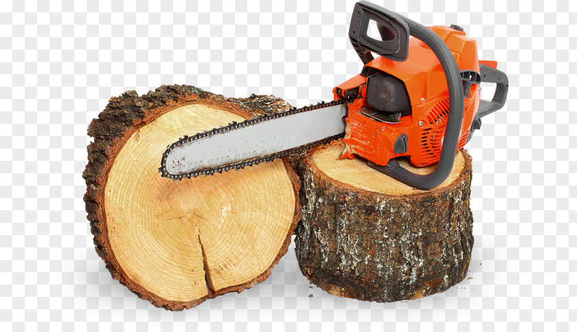 Falling Leaf Stump Remover Chainsaw Firewood Forestry Photography PNG