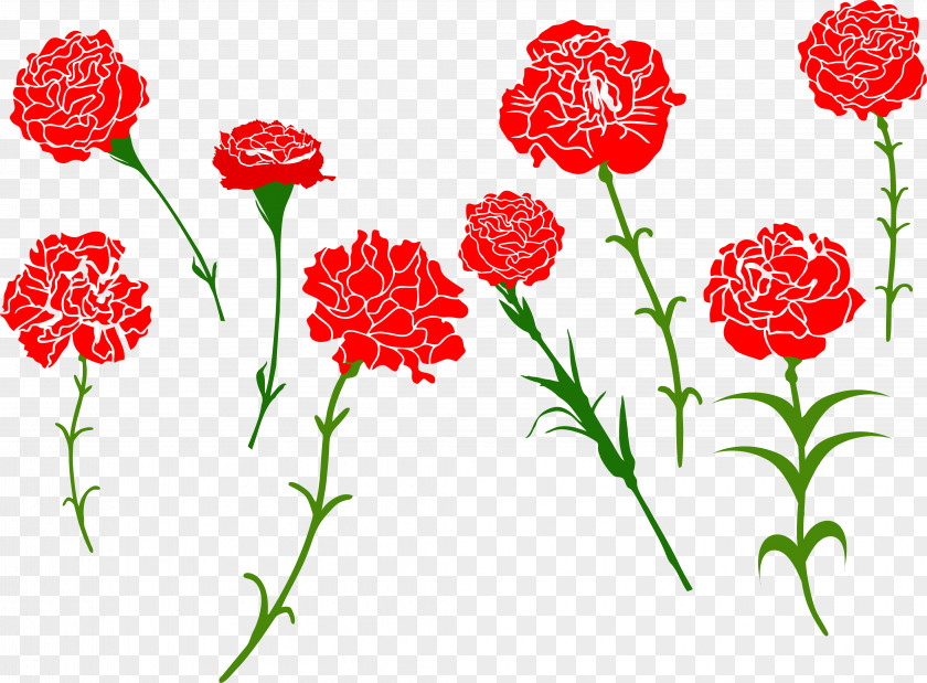 Flower Carnation Royalty-free Clip Art PNG