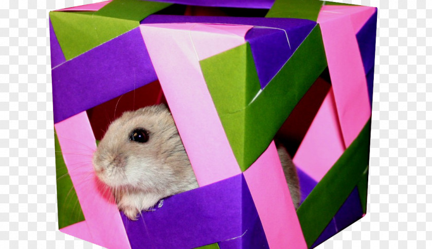 Hamster Modular Origami Paper Craft Cube PNG