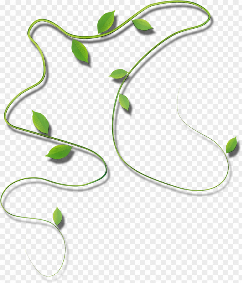 Plant Leaf Green Watercolor PNG