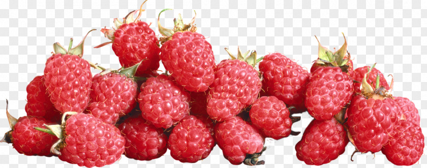 Raspberry Strawberry Cranberry PNG