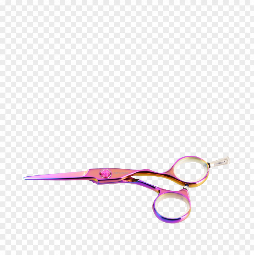 Scissors Glasses Python 5 PNG