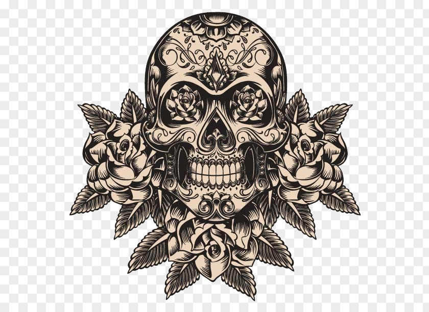 Skull Calavera Human Symbolism Day Of The Dead Skeleton PNG