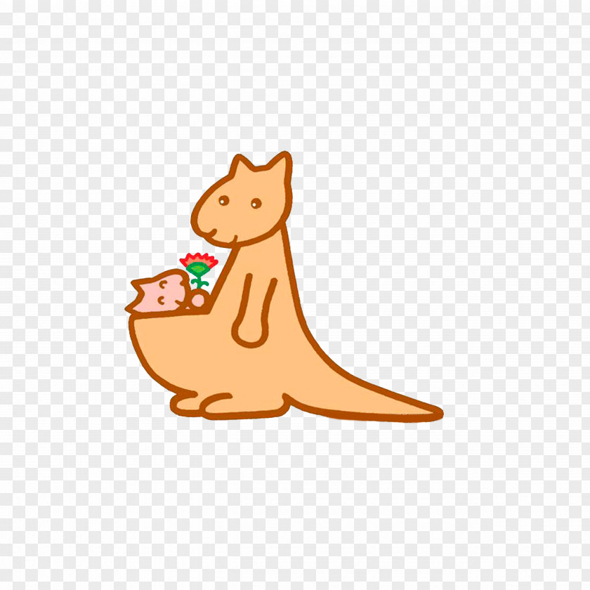 The Flowers To Mother Kangaroo PNG