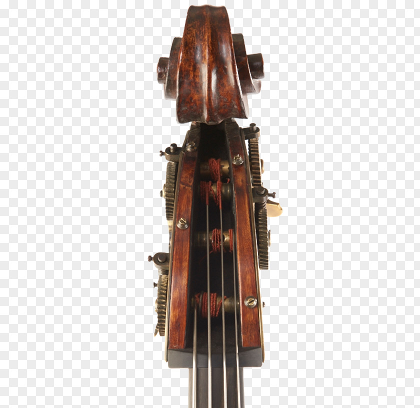 Violin Bass Double Violone Viola Cello PNG