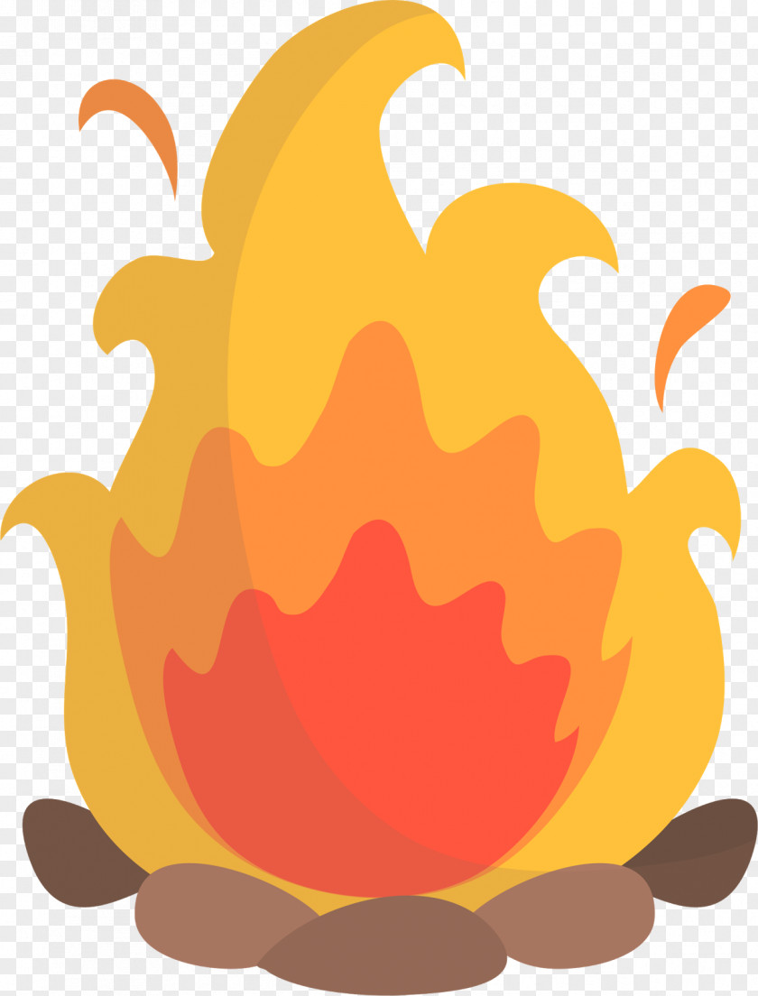 Fire Drawing Cartoon PNG