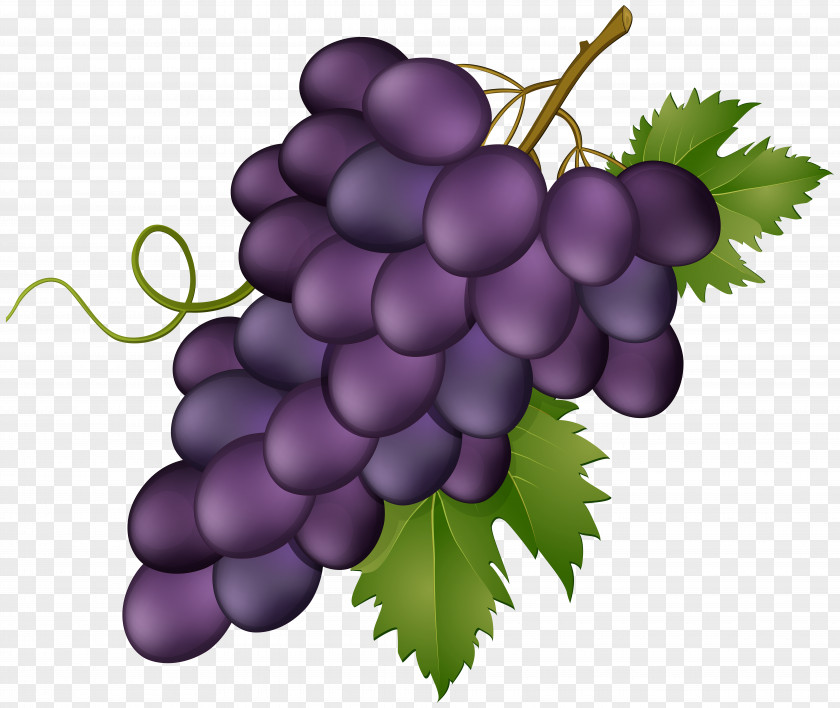 Grape Clip Art Image Wine PNG