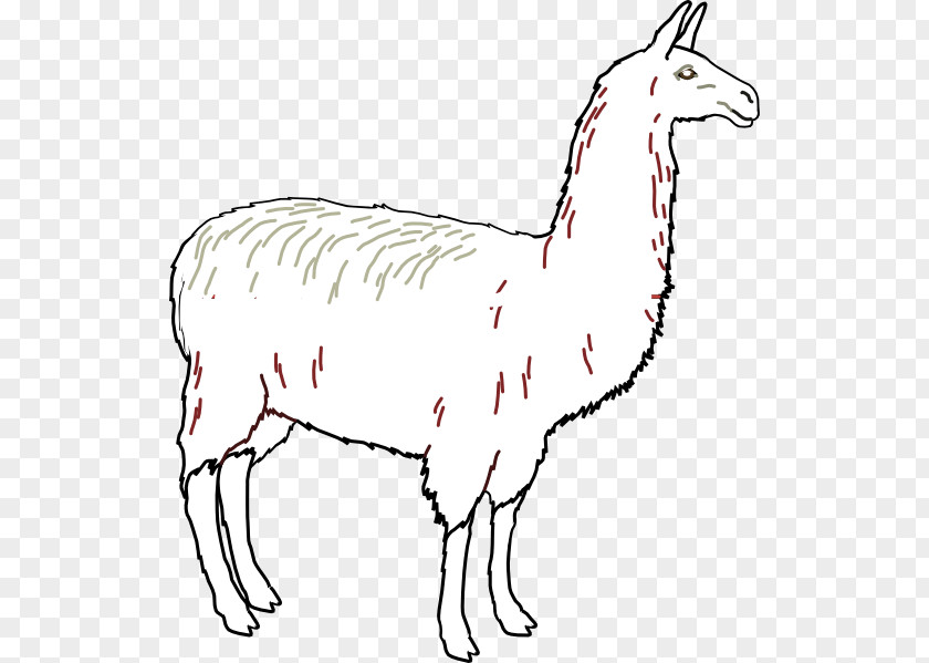 Llama Outline Alpaca Clip Art PNG