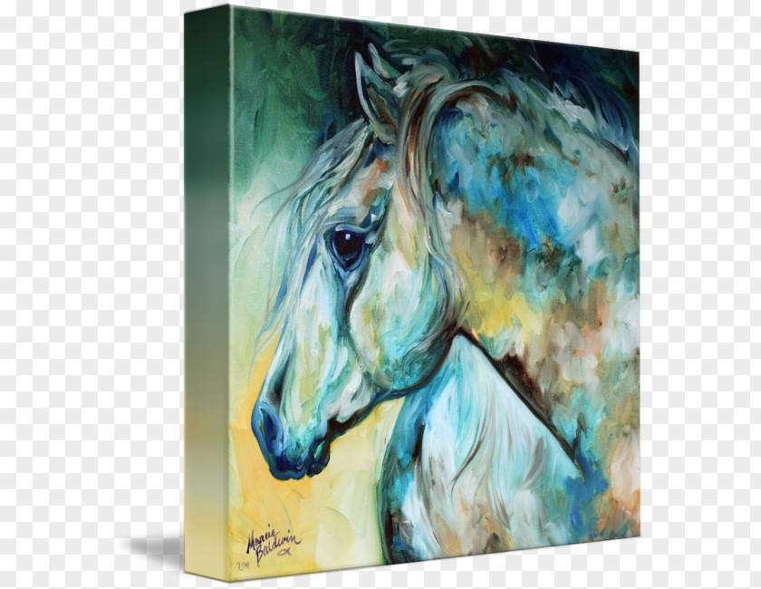 Moonlight Watercolor Mustang Tennessee Walking Horse Stallion Arabian Art PNG