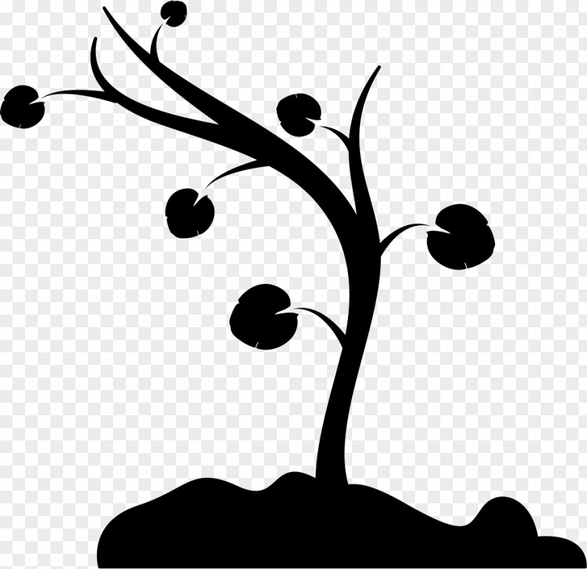 Curved Branch Drawing PNG