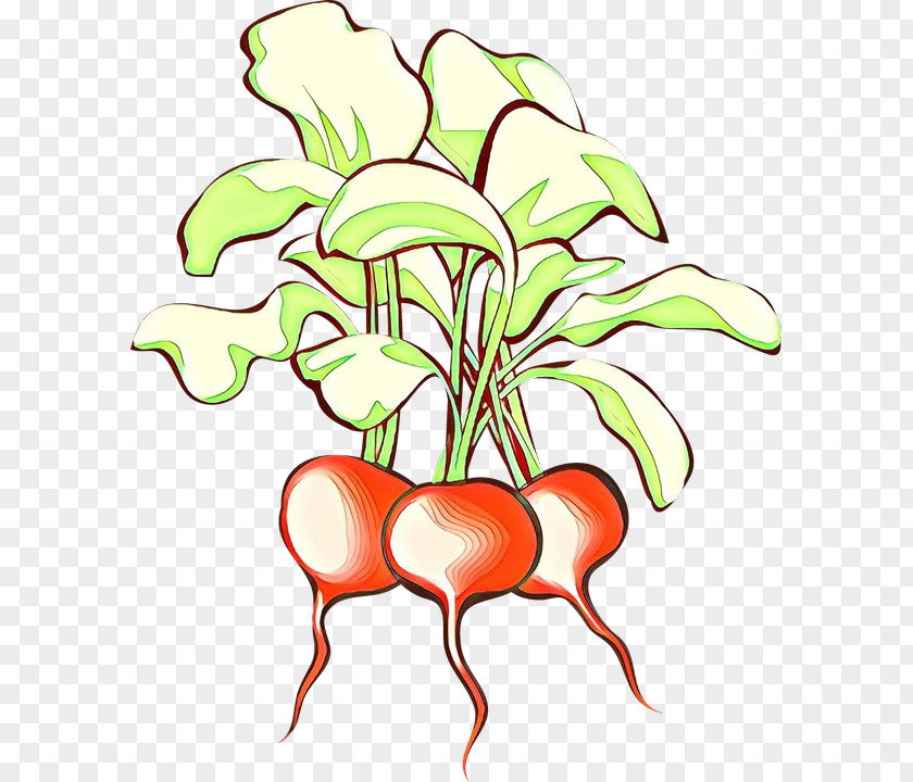Flowerpot Herbaceous Plant Flower Line Art PNG