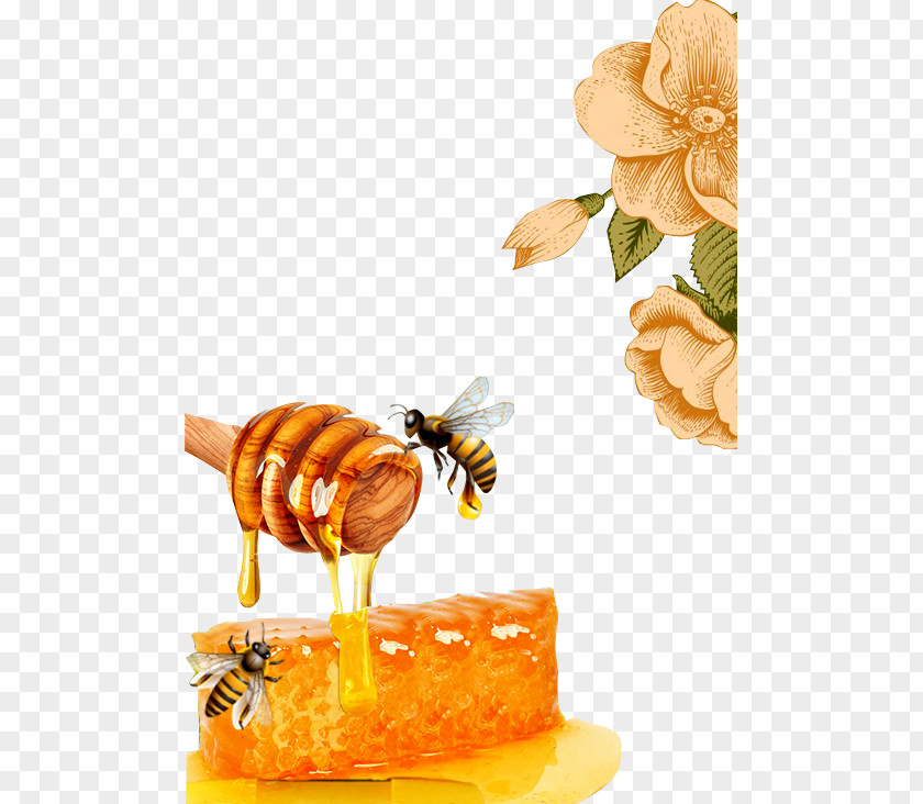 Honey Bees Bee Honeycomb Beeswax PNG