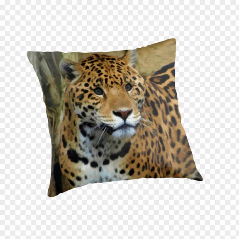 Leopard Jaguar Cheetah Throw Pillows Felidae PNG