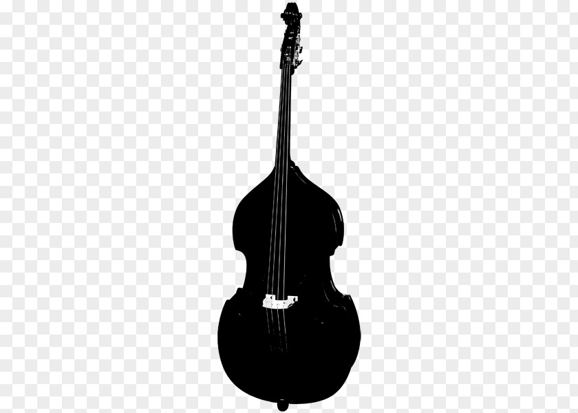Bass Violin Double Guitar Acoustic Violone PNG