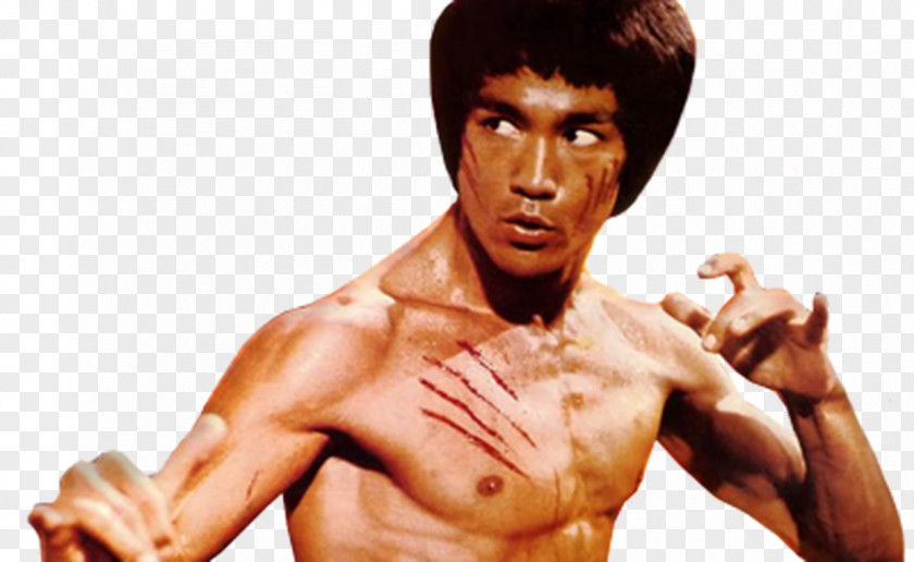 Bruce Lee Clip Art PNG