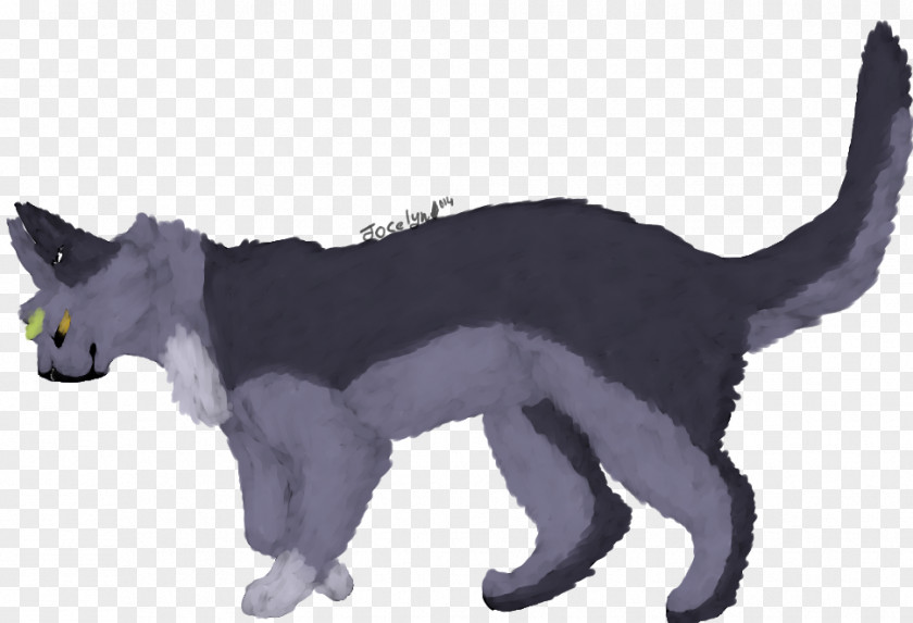 Cat Whiskers Dog Breed Fauna PNG