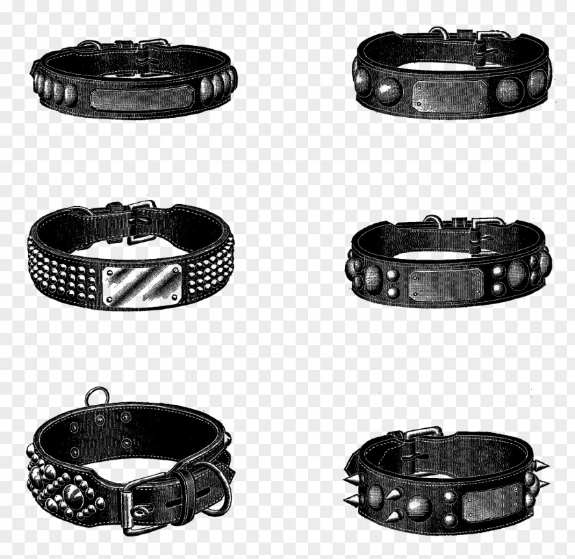 Collar Clipart Buckle Clothing Accessories Belt Jewellery PNG