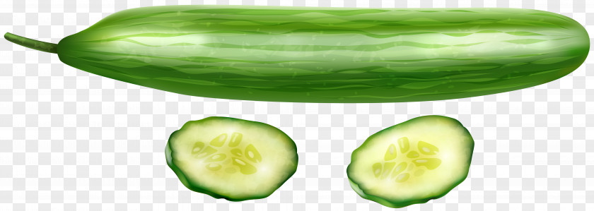 Cucumber Pickled Vegetable Clip Art PNG