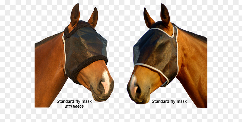 Horse Mask Halter Fly Stallion Mustang Mare PNG