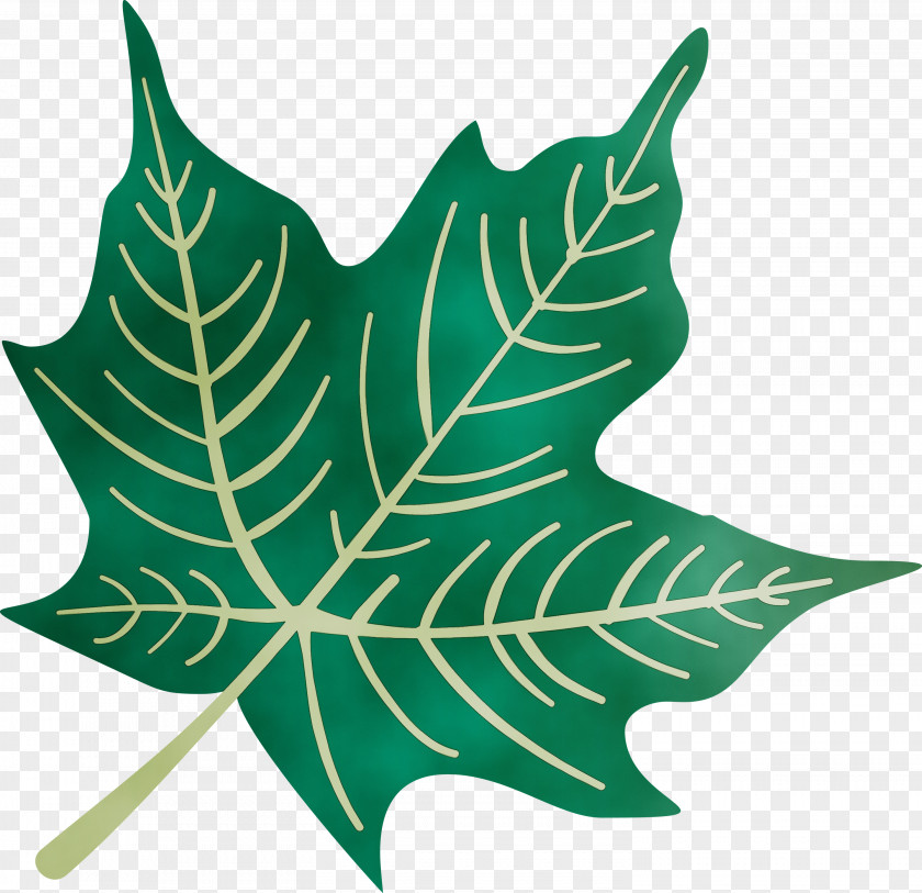 Plant Stem Leaf M-tree Tree Plants PNG