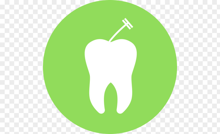 Villeurbanne Dentistry Sarasota Dental Surgery Therapy PNG