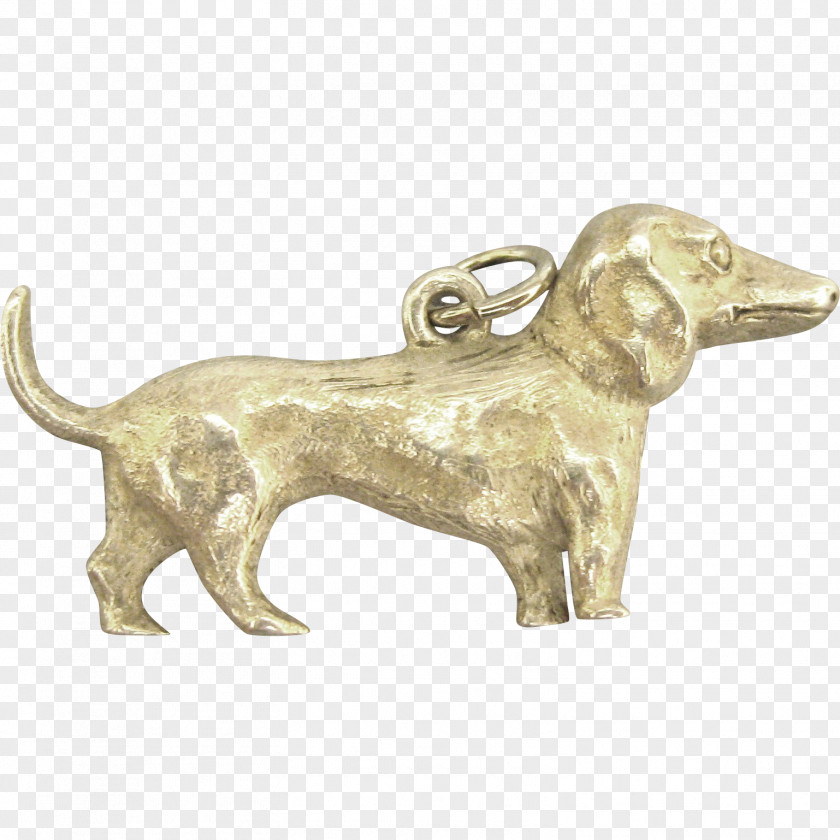 Dog Breed 01504 Silver PNG