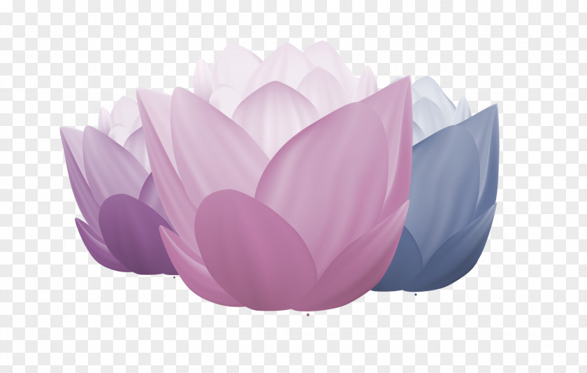 Lotus Download Computer File PNG