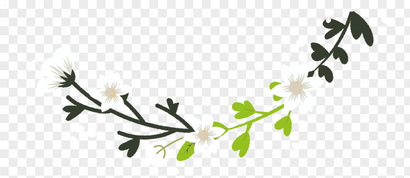 Pedicel Twig Wedding Flower Background PNG