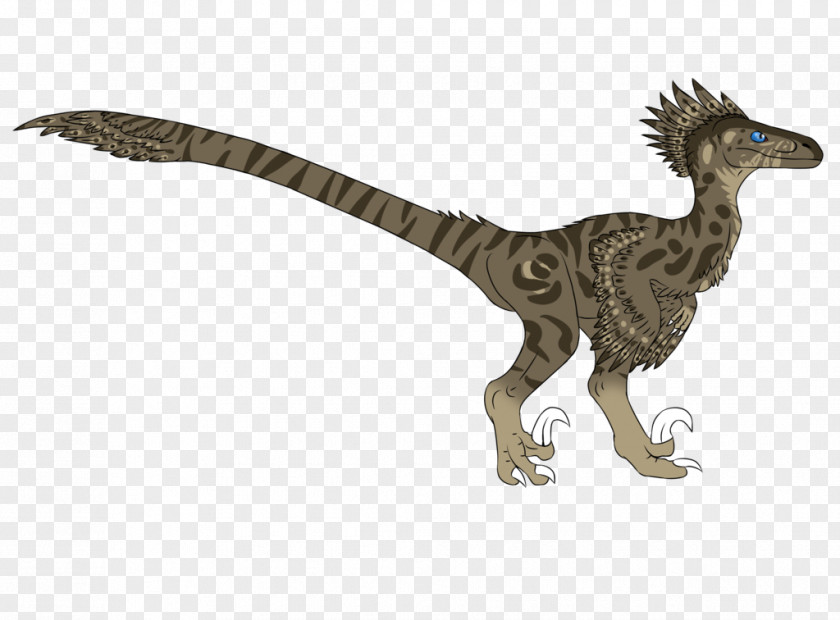 RaptorS Velociraptor Tyrannosaurus Extinction Animal PNG