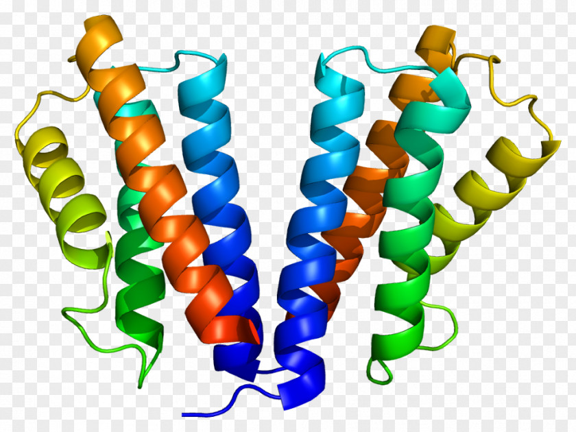 Signal Transducing Adaptor Protein Vesicle Vacuolar Sorting Complex PNG