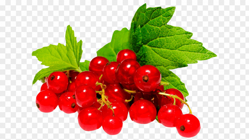 Strawberry Gooseberry Zante Currant Redcurrant Fruit PNG