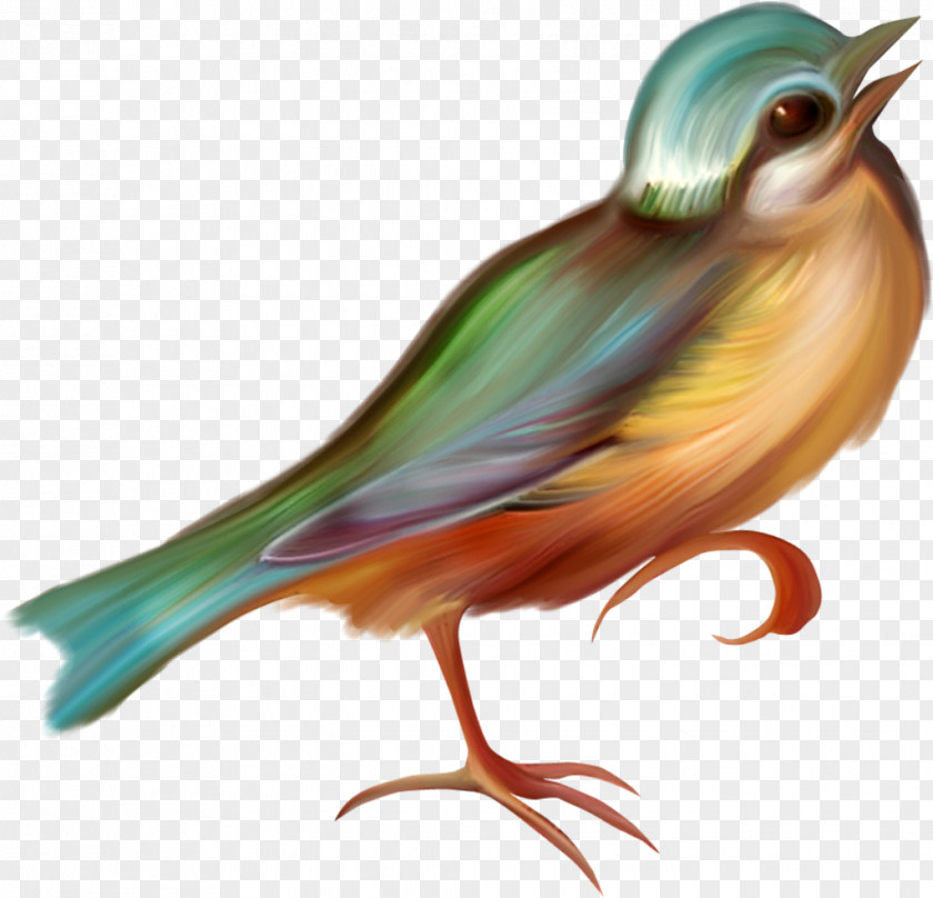 Bird Clip Art Image PNG