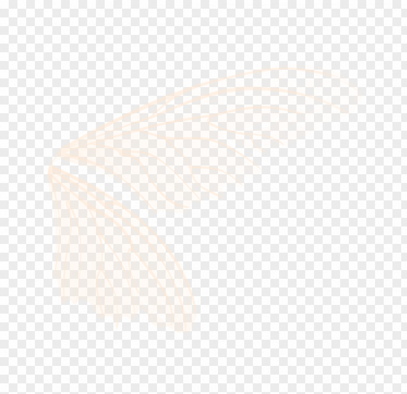 Brown Wings Angle Pattern PNG