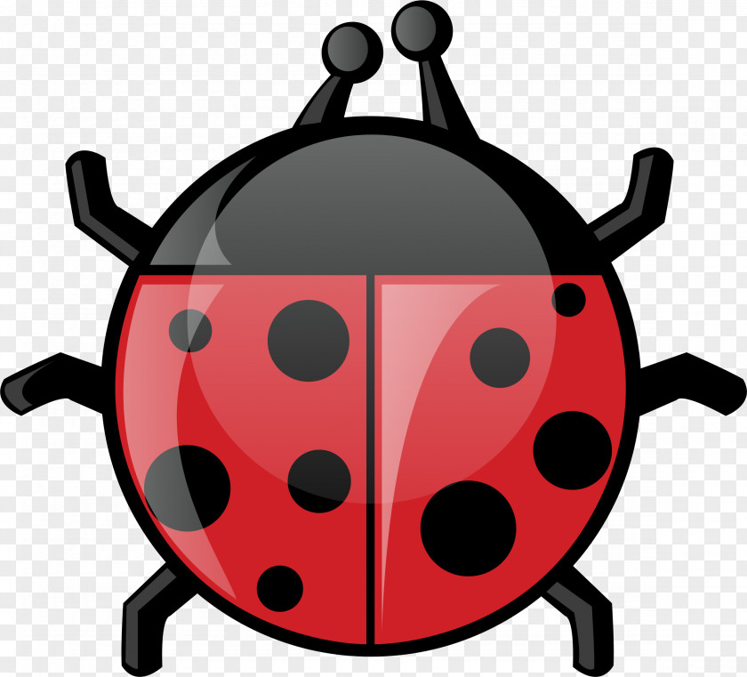 Bugs Insect Ladybird Clip Art PNG