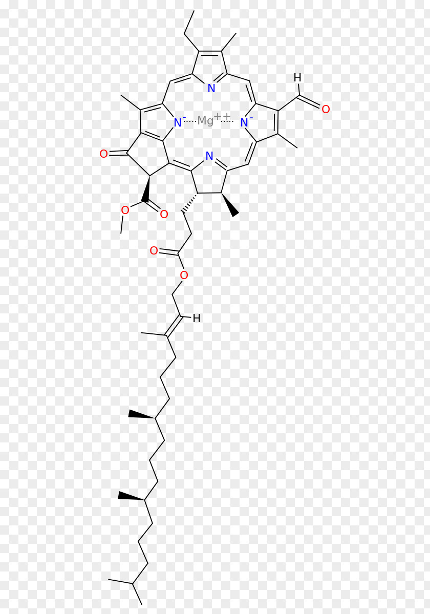 Chlorophyll A B C2 C1 PNG