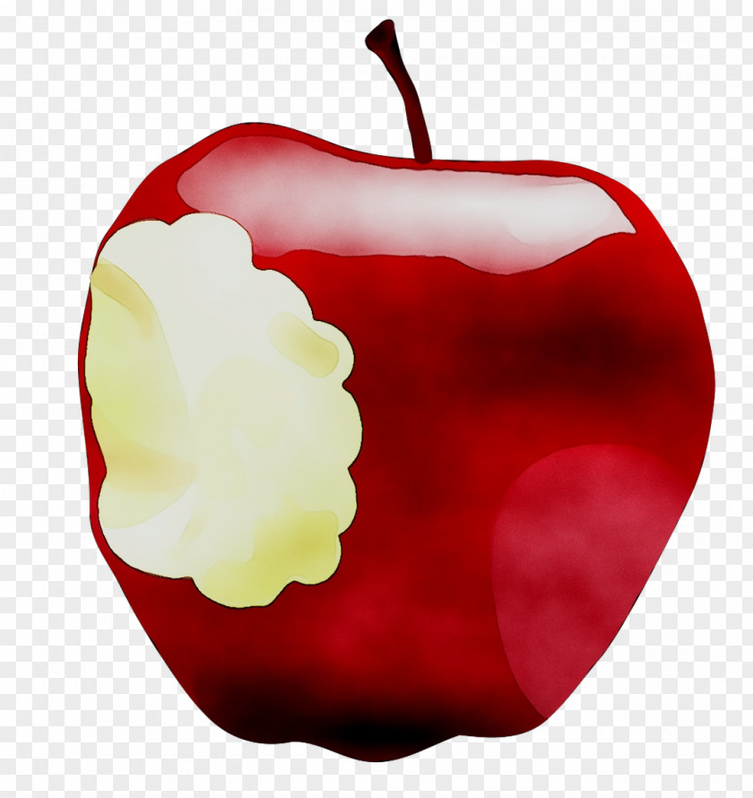 Clip Art Food Image Apple Illustration PNG