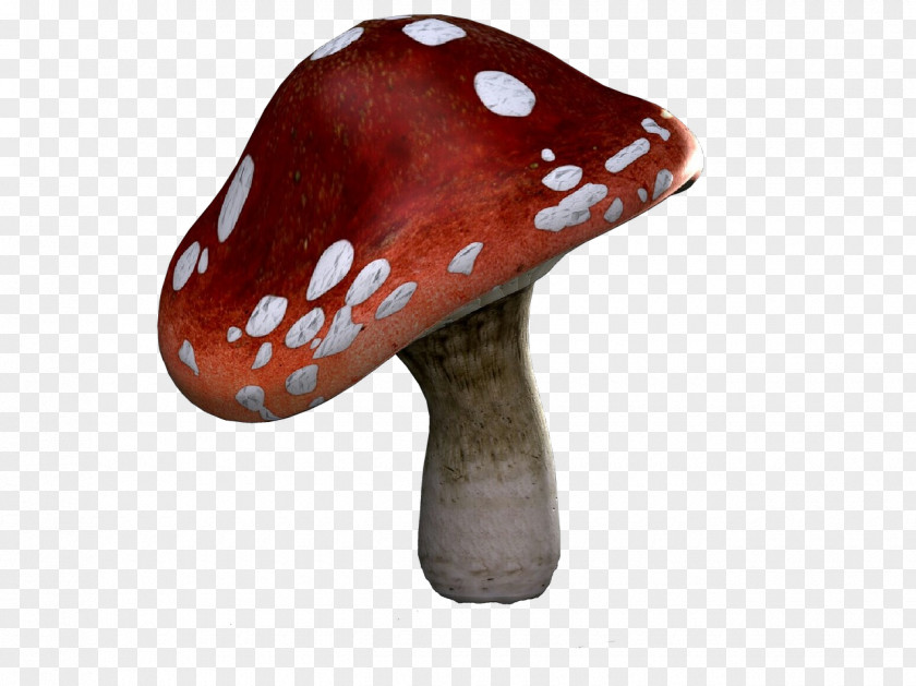 Fungus Ceramic Mushroom Agaric PNG