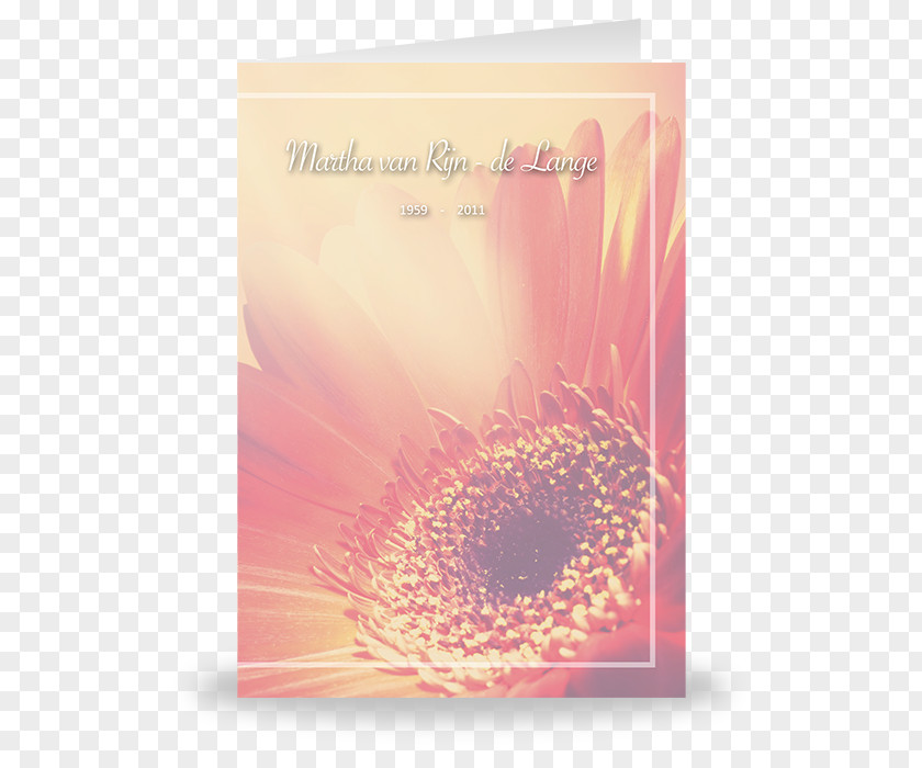 Media Card Transvaal Daisy Greeting & Note Cards Font PNG