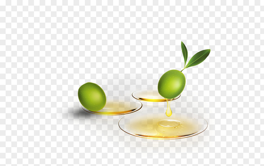 Olive Oil Decorative Material Cosmetics PNG