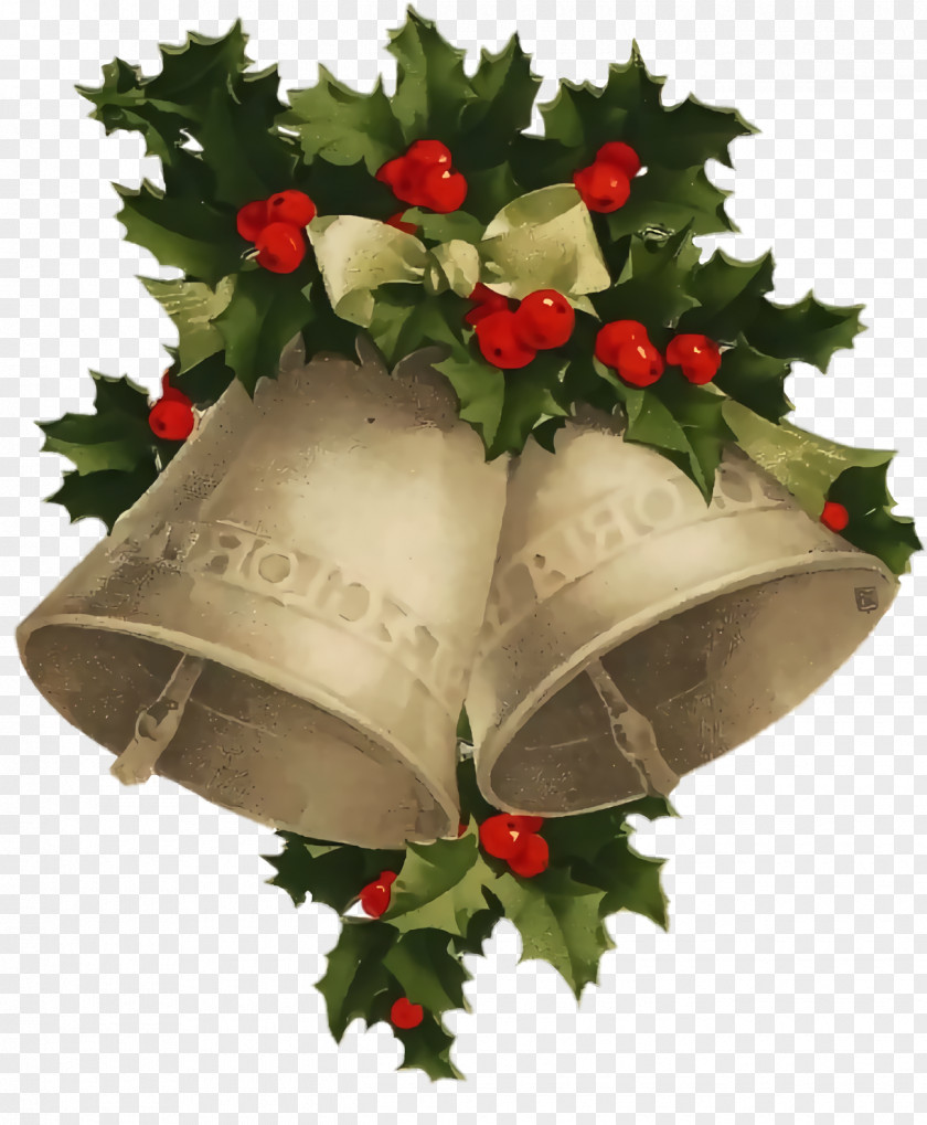 Rose Cut Flowers Christmas Holly Ilex PNG